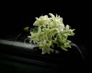 Сколько цветов приносят на похороны: чётное число и традиции